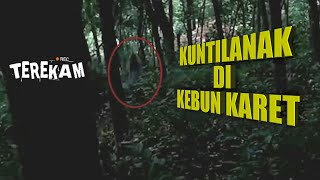 SEREM BANGET!! Penampakan Kuntilanak di Kebun Karet