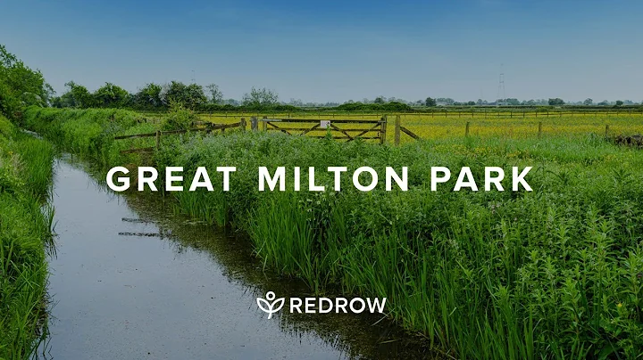 Welcome to Great Milton Park | New Redrow homes av...