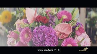 Interflora - The Flower Experts