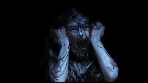 悪霊を捕獲できるか？ホラー映画『デビルバスターズ』DVD予告編