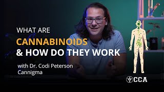 What Are Cannabinoids and How Do They Work?