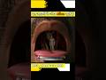इस आदमी के अंदर Alien रहते हैं Part-4 #short #youtubeshorts