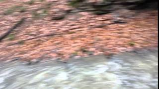 20160110 Fall 2