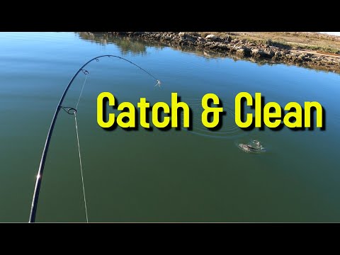 Clean Fun Fishing 