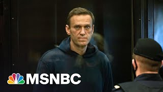 Buoyed By Nationwide Protests, Russian Opposition Leader Navalny Ends Hunger Strike | Rachel Maddow