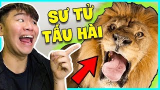 Những Con Tượng Sư Tử Tấu Hai Ba đạo Nhất Thế Giới La đay Buron Reaction Việt Nam Vlip Lv - oop buron roblox