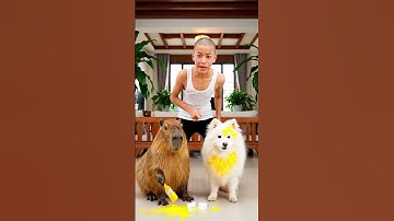 Huy sói mách bố Capy tô vàng con chó 100 tỷ #capybara #vuive   #giaitri  #cuocsongcuacapy