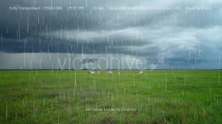 Rain with Fog | Motion Graphics - Envato elements