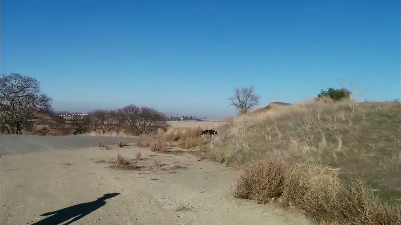 Short walk in Santa Venetia Marsh Preserve, Marin County, CA - YouTube