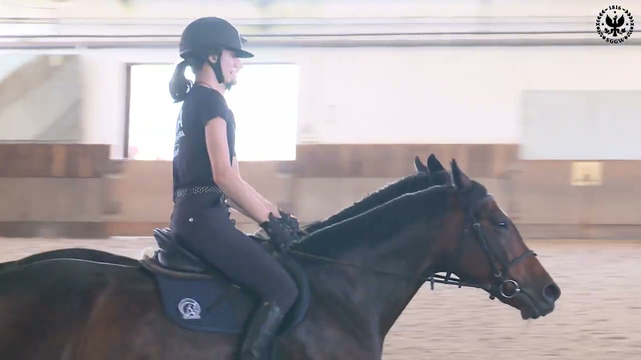 pokazy jazdy konnej w Stajni Dydaktycznej SGGW