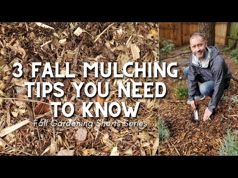 Video: Podzimní mulčování rostlin – tipy na mulčování kolem rostlin na podzim
