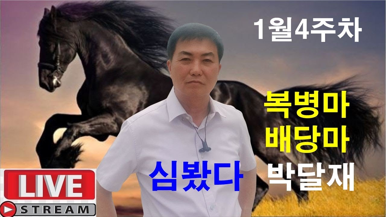 1월4주차 "심봤다" 마필 경마예상 추천마번 복병마 배당마 온종일 라이브 방송 서울경마 부경경마 경주분석 추천마번 예상방송 박달재