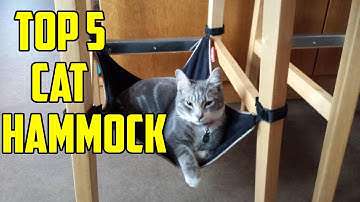Cat hammock Review: Top 5 Best cat hammock in 2021 - Best Cat Hammock you Can Buy