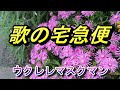 【きんぴら】『千昌夫』COVER/ウクレレマスクマン/大文字歌詞入り