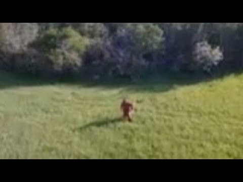 MASSIVE BIGFOOT/SASQUATCH CAPTURED BY DRONE 2018
