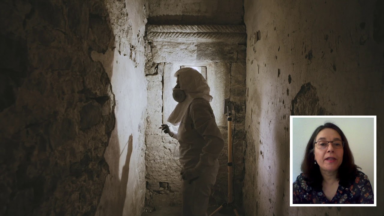 La mirada experta – Las pinturas y revestimientos murales de San Miguel de Lillo