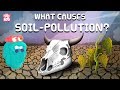 What Is SOIL POLLUTION | LAND POLLUTION | What Causes Soil Pollution | Dr Binocs Show |Peekaboo Kidz