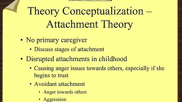 Case Conceptualization   An Example