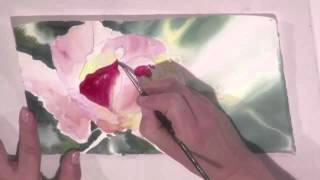 Preview | Watercolor for Beginners:  Red Rose in Watercolor with Jan Fabian Wallake screenshot 3