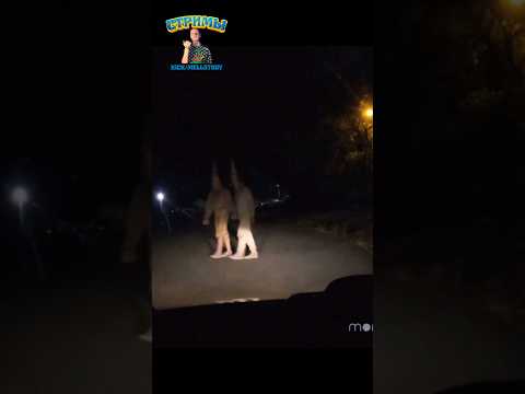 Жуткие клоуны насмехаются над полицейскими/'Паранормальный Веллингтон'(2018) #сериал #ужасы #комедия
