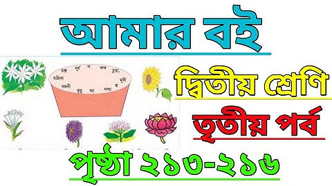 Amar Boi|Class 2|Part 3|Page 213-216|আমার বই|দ্বিতীয় শ্রেণি|তৃতীয় পর্ব|পৃষ্ঠা ২১৩-২১৬ #amarboi