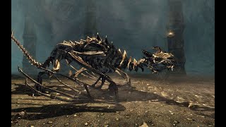 The Elder Scrolls V  Skyrim Special Edition:Skeletal Dragon Boss Fight