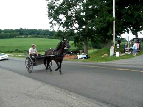 This video was taken on a recent trip with my father to the Amish country of Ohio near the towns of Millersburg, Berlin, Charm, Kidron, Sugar Creek, etc. I had to shoot short, quick videos as we didn't get to stop nearly as much as I would have liked. This is beautiful farm country populated with quiet, humble Amish and Mennonite people.