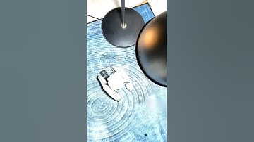 loona robot playing with light #loona #loonarobot #loonapetbot #airobot #petbot #petrobot