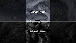 Gray fur vs Black fur ???/ dress ?/ nails ?/ heels ?. trending viral shortvideo shorts trend