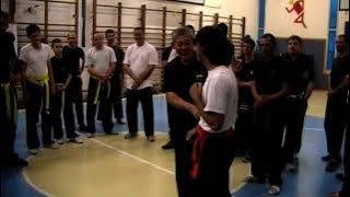 Master su dong chen - Protection against hook strike