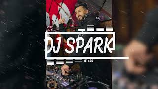 اديوس - روان & دافي ريمكس ديجي سبارك DJ SPARK REMIX