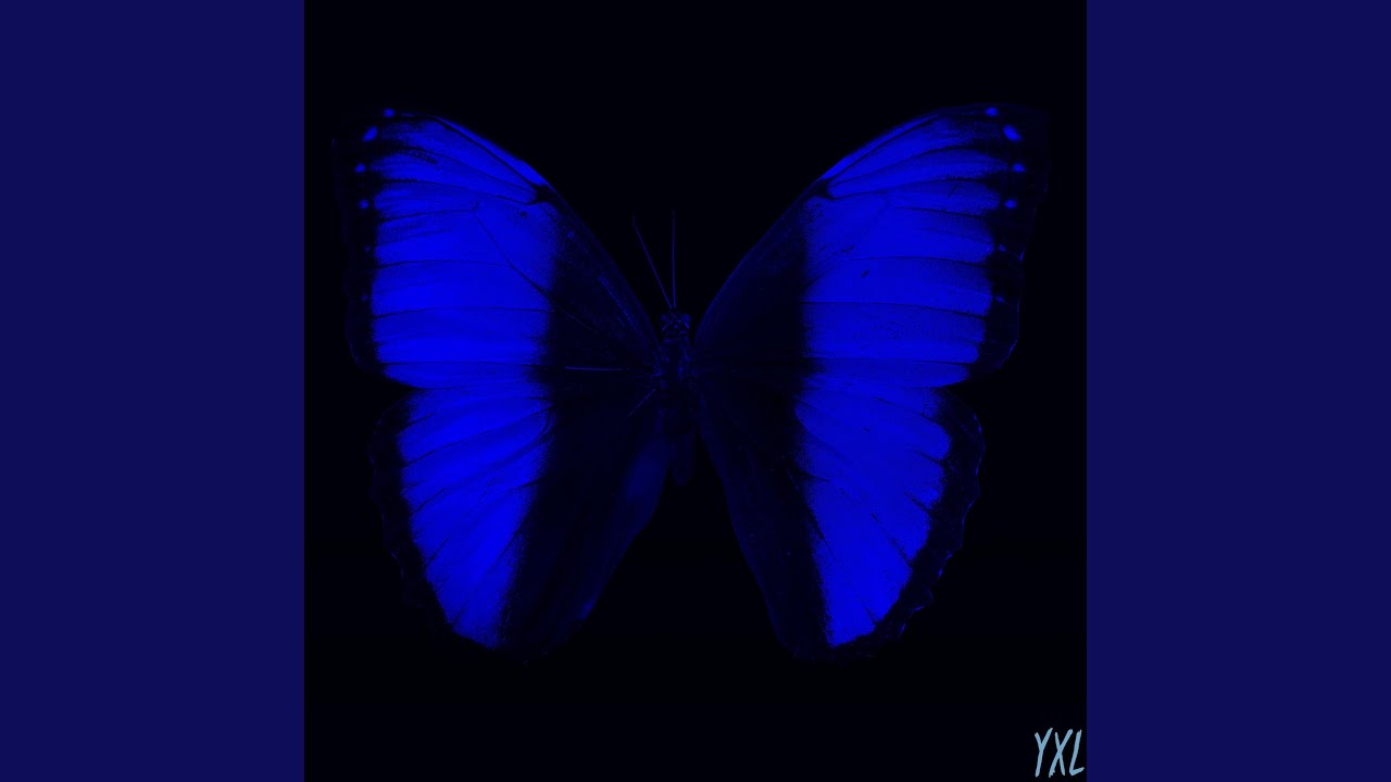 Watch Butterfly on YouTube Watch Butterfly on YouTube