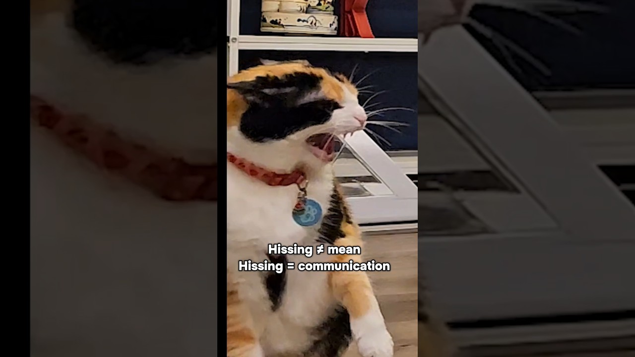 Шипение ≠ среднее