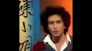 Video thumbnail of "Michel Berger - Mademoiselle Chang - (25/11/81) - HQ!"