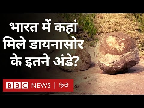 वीडियो: क्या डायनासोर घोंसलों में अंडे देते थे?
