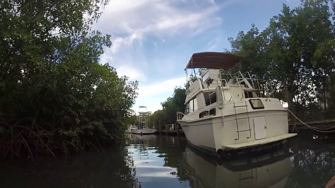 Behind the scenes Dawns Birthday Little Jim bait and Tackle Fort Pierce