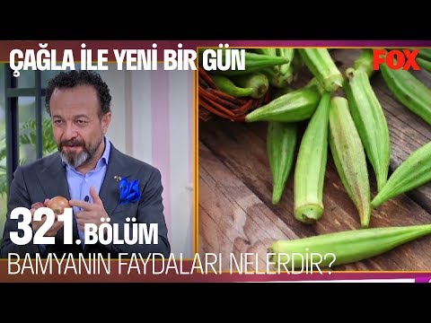 Bamyanın faydaları nelerdir? Çağla ile Yeni Bir Gün 321. Bölüm