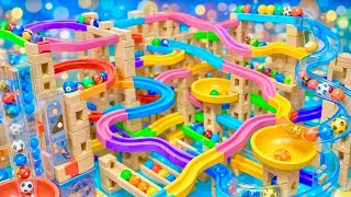 Marble Run Peaceful Motion ASMR – Soft Flow and Rhythm 6