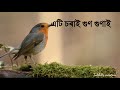 এটি চৰাই গুণ গুণাই||Nilima khatun||Ati Sorai Gun Gunai Lyrics Mp3 Song