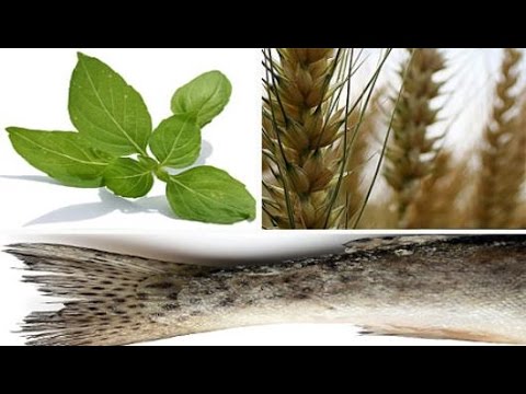 Video: Hur Man Introducerar Vegetabiliska Kompletterande Livsmedel