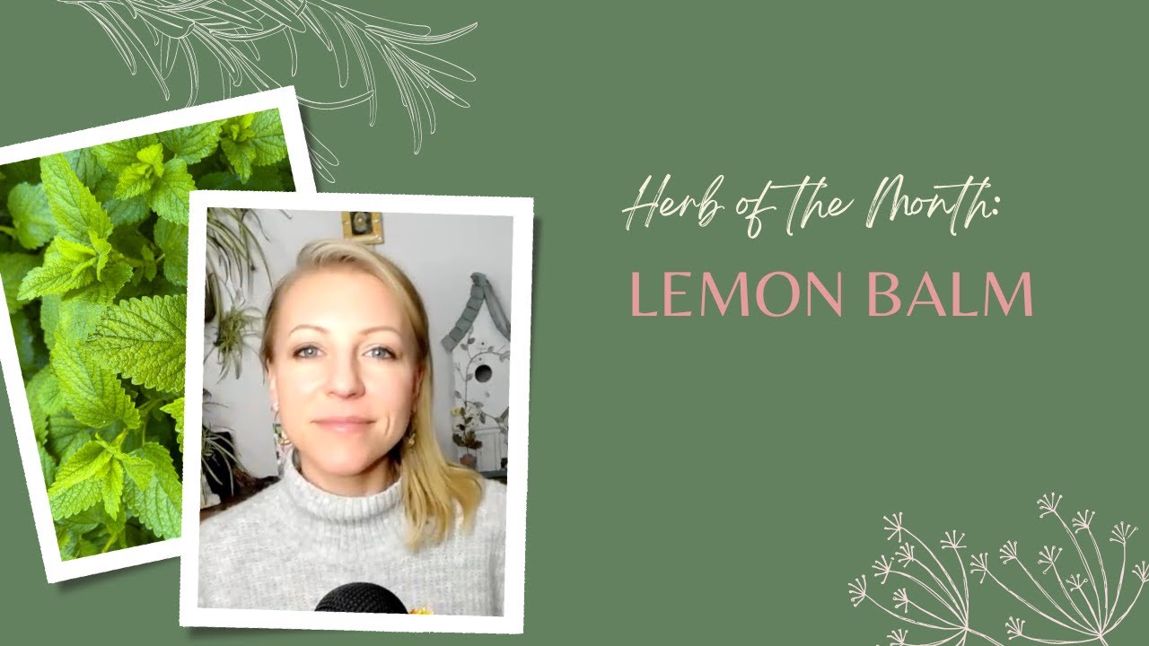 Herb of the Month Lemon Balm YouTube