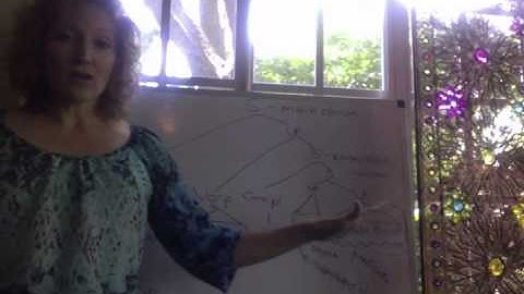 Lecture - Embedded Clauses, Part 2