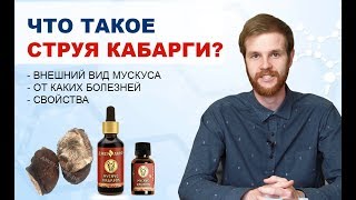 Струя кабарги что такое? Мускус кабарги лечебные свойства, от каких болезней.