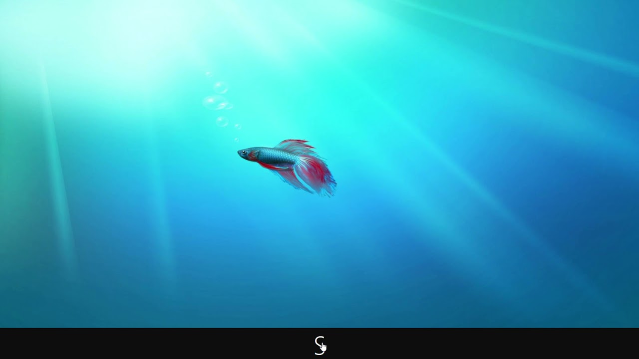 SacOS FNE (rushed pptos)