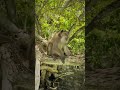 #travel #vlog #thailand