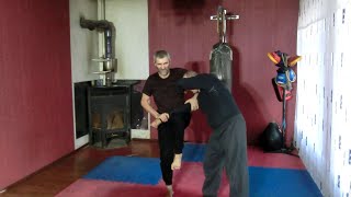 Universal  combat system