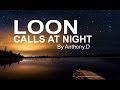 (OFFICIAL VIDEO) LOON CALLS AT NIGHT / COMMON LOON VOICES