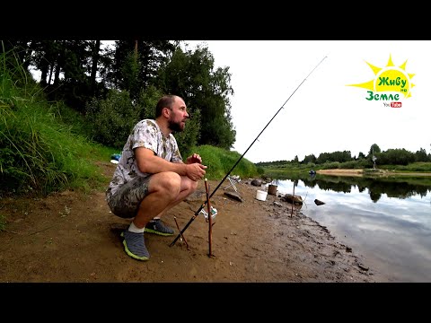 Видео: РЫБАЛКА НА ДОНКИ. ПРАВИЛЬНАЯ ОСНАСТКА. МЕСТНЫЕ В ШОКЕ! А ГОВОРИЛИ  ЧТО ТАМ РЫБЫ НЕТ.