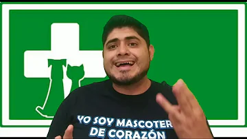 Como se aplica Alizin?