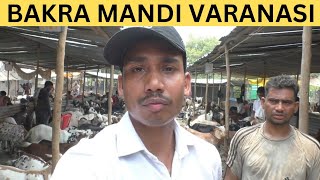 Bakra Mandi Varanasi | Bakra EID 2023 | Beniyabag Park Bakra Market | Goat Market | Bakre Market